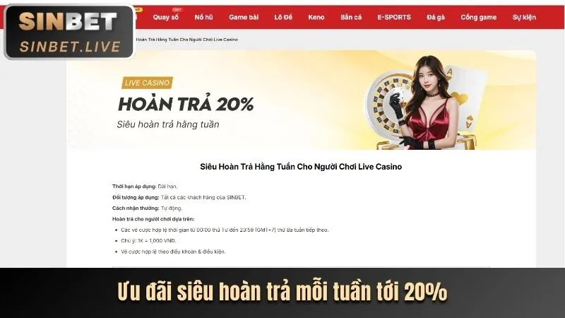 Trải nghiệm casino trực tuyến mới 55chat